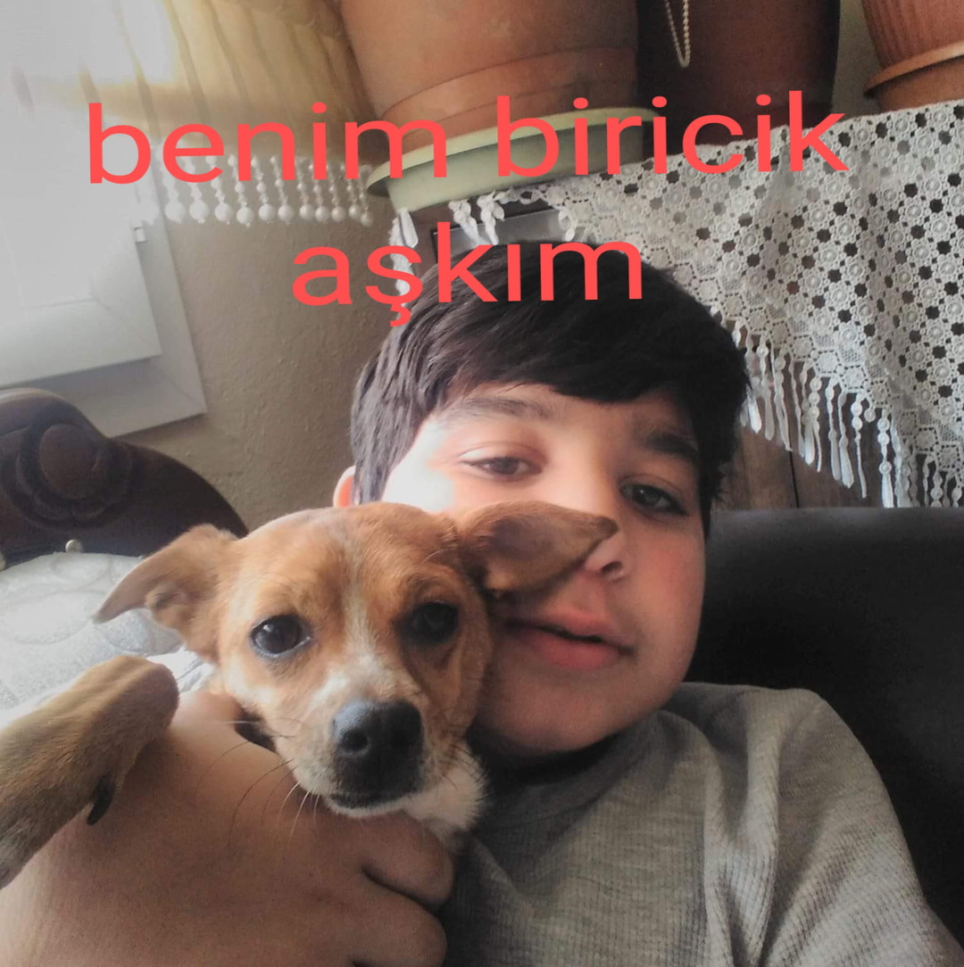 Erenay