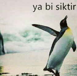 Kader