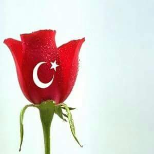 Gökan