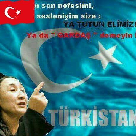 Harun