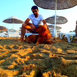 Resul