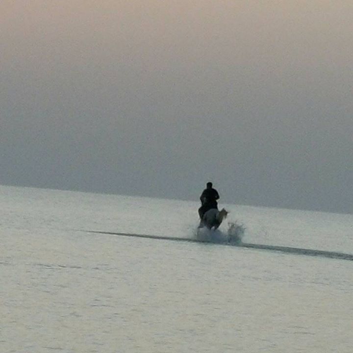 سامي