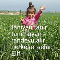 Metin