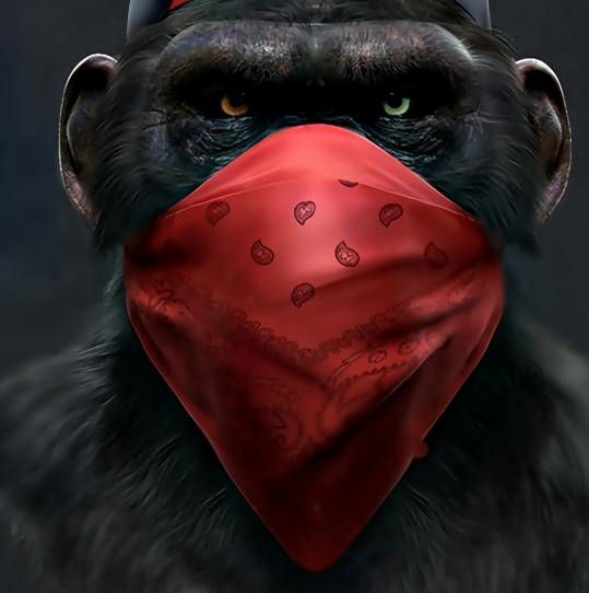 Ibrahim