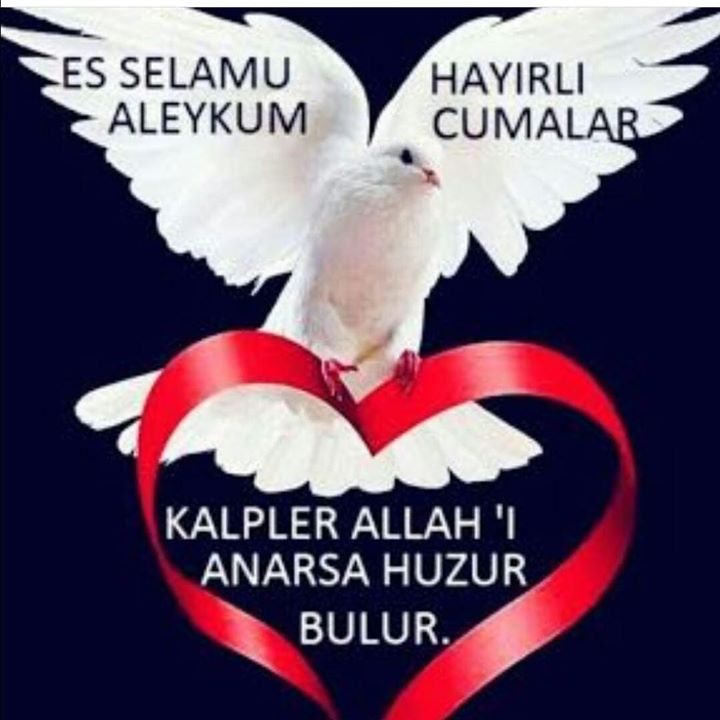 Niyazi