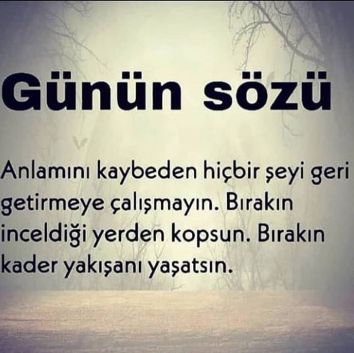 Ersin