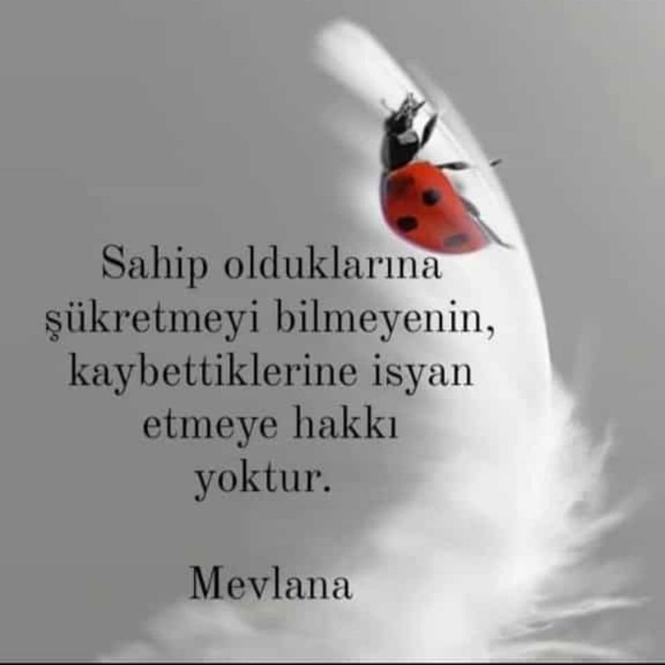Eyüp