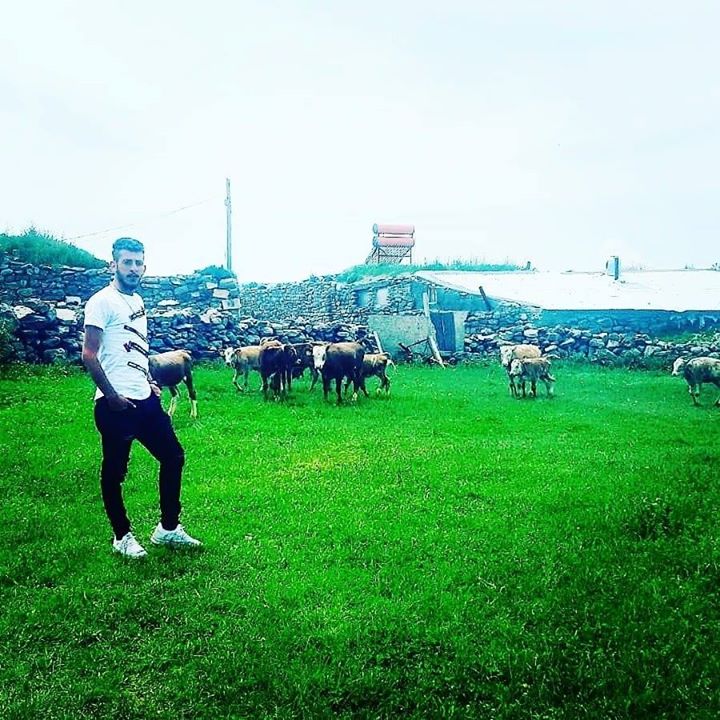 Bekir