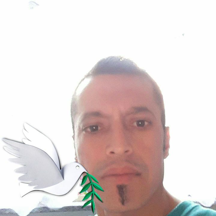 Orhan