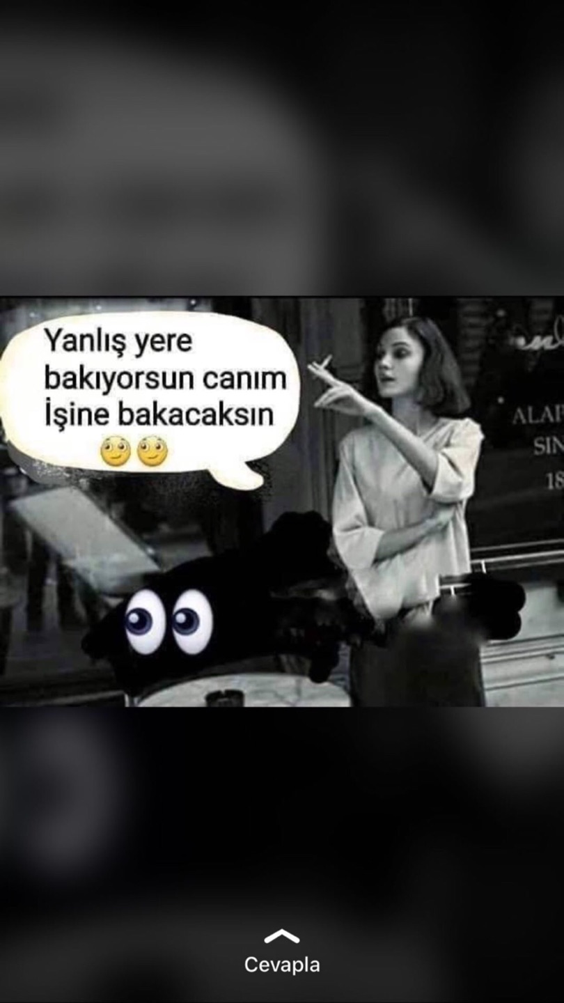 Aysel