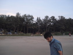 Utsav
