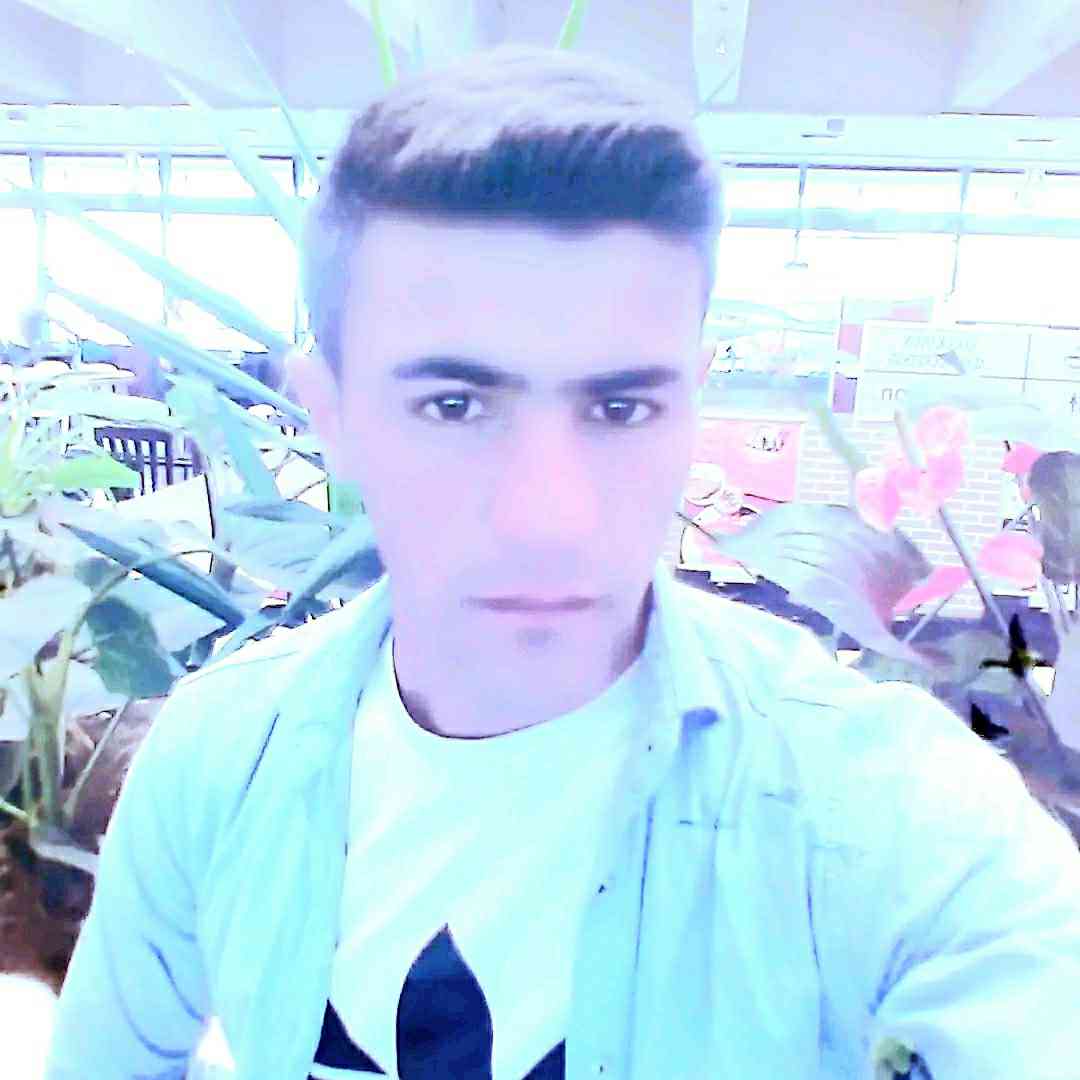 Ali