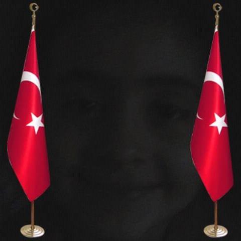 Murat