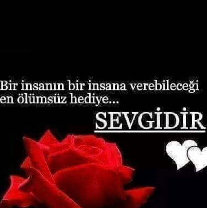 Buse