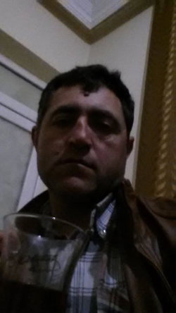 Rüzğar