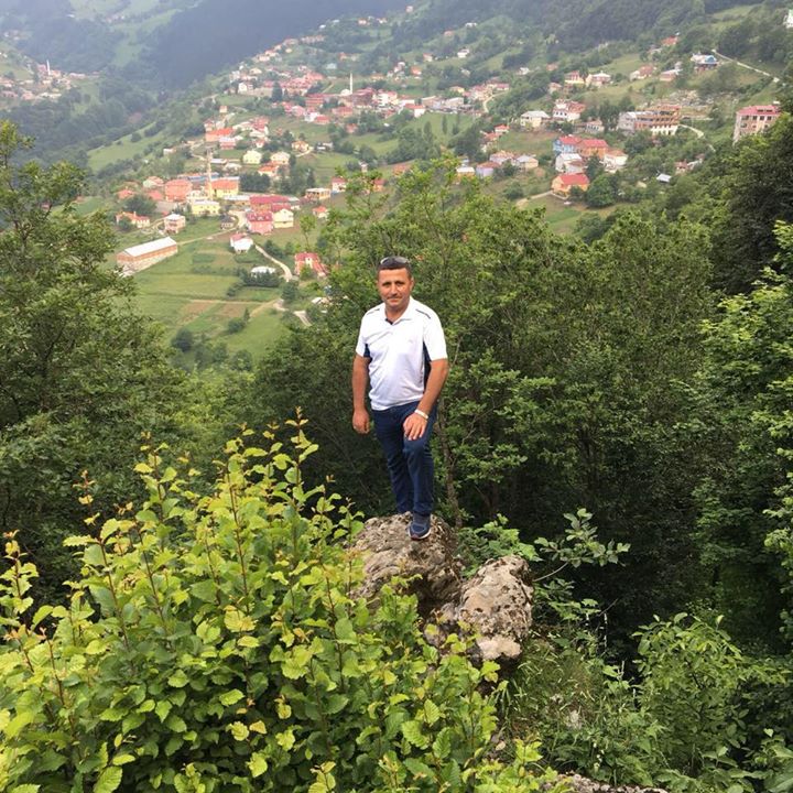 Vedat