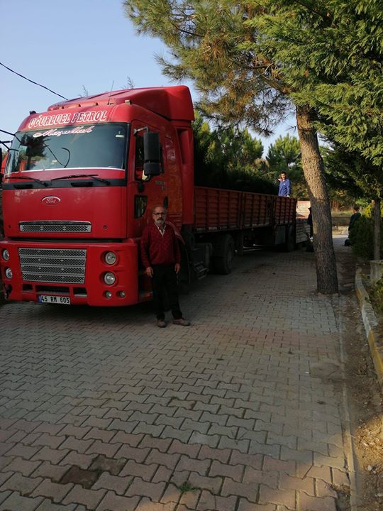 Hamit