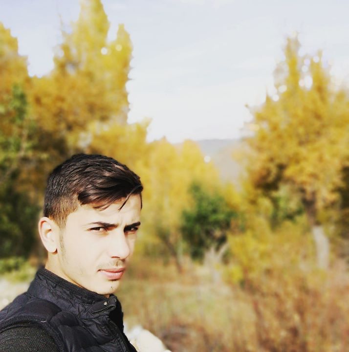 Ali
