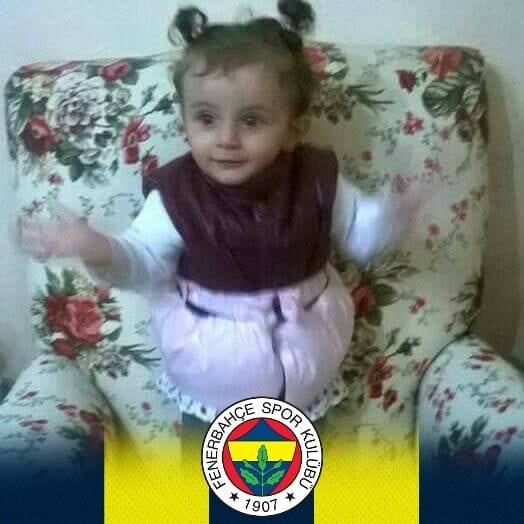 Halil