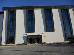 Şahin