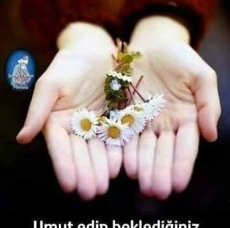 Nehır