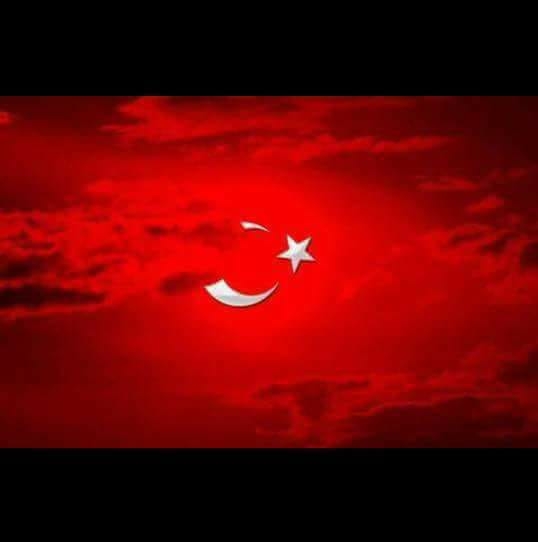 Selim