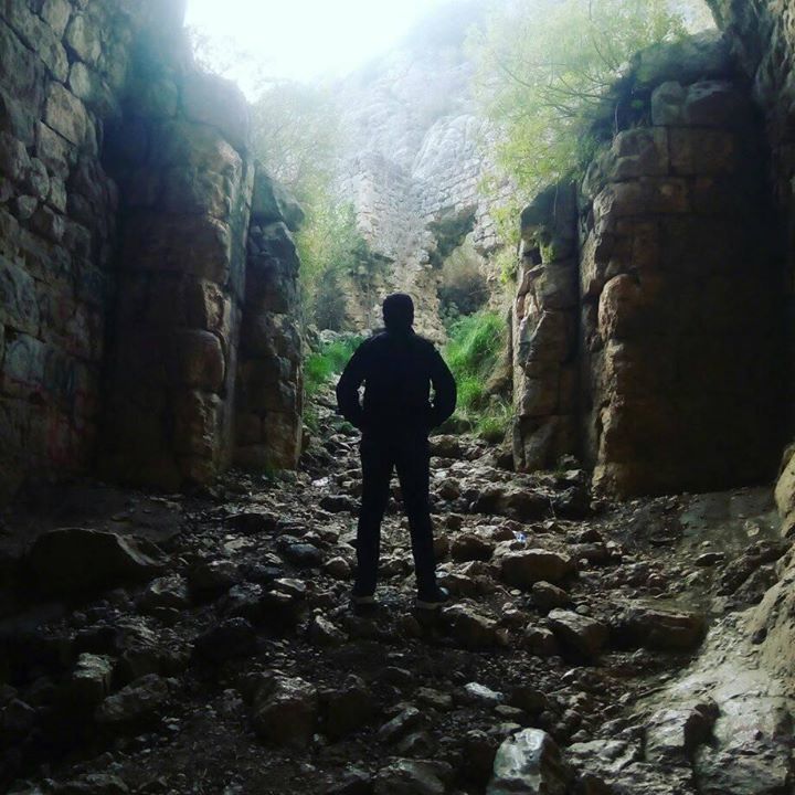 Umut