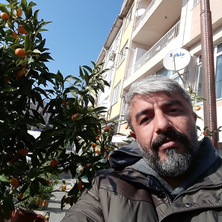 Veysi