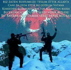 Alperen