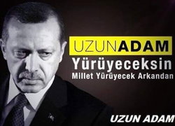 Birgül