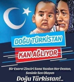 Mevlüt