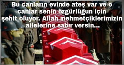 Özcan