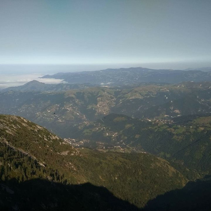 Trabzonlu
