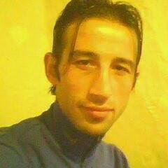 Doğan