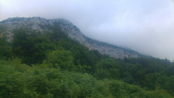 Murat