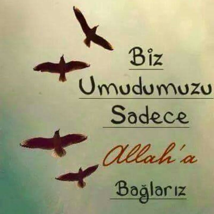 Duygu