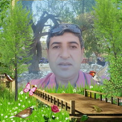Sirin