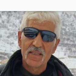 Şahin