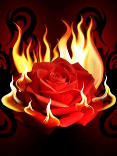 Murat