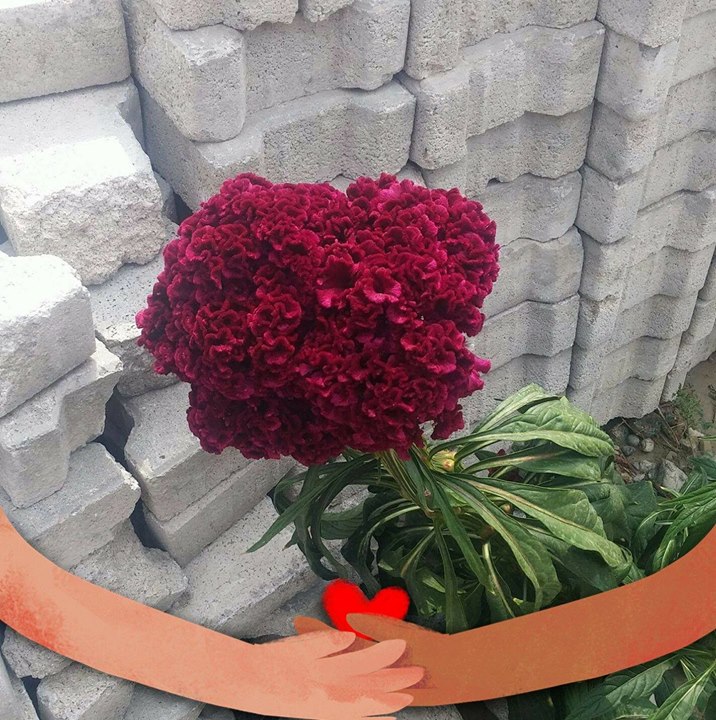 Emre