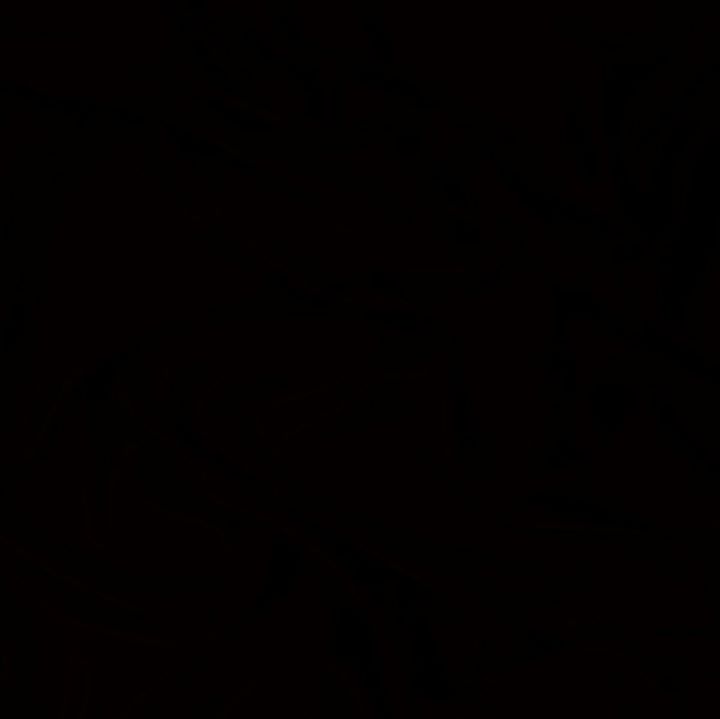 Devran