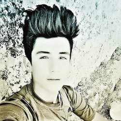 Memet