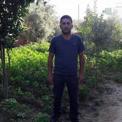 Murat
