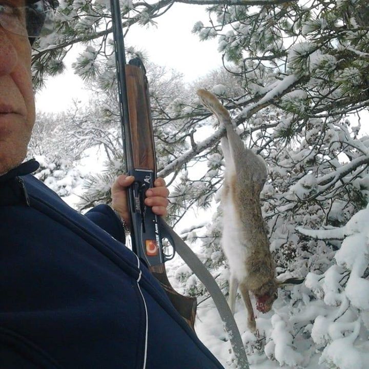Erol