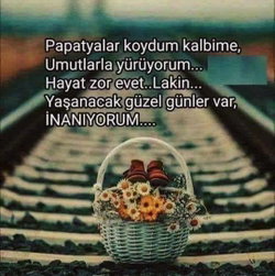 Hayat