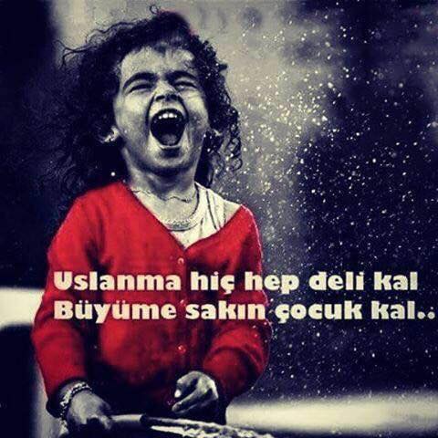 لايله