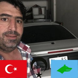 Cizgici
