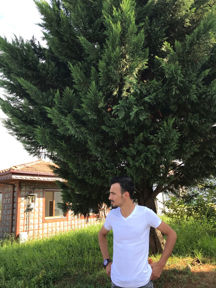 İsmail