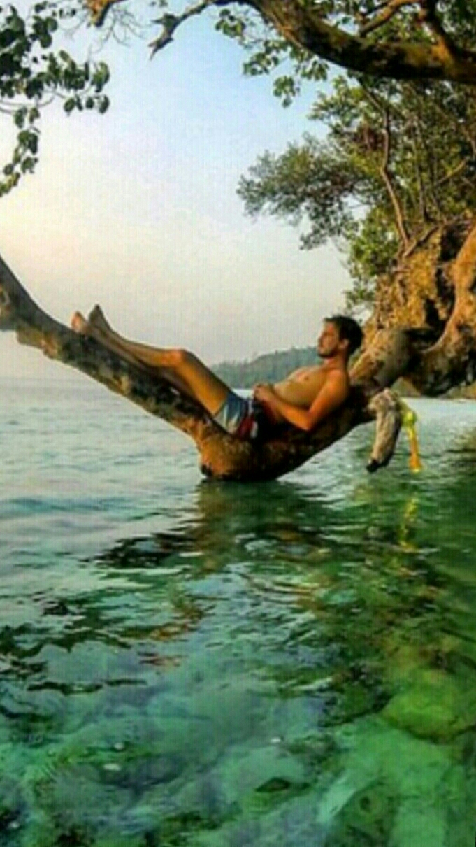 Murat