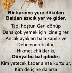 Eyüp